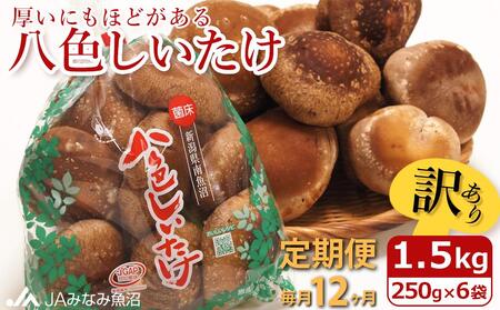 【JAみなみ魚沼定期便】家庭用「八色しいたけ」（1.5kg×全12回） 訳あり 不ぞろい 農家応援 厚いにもほどがある