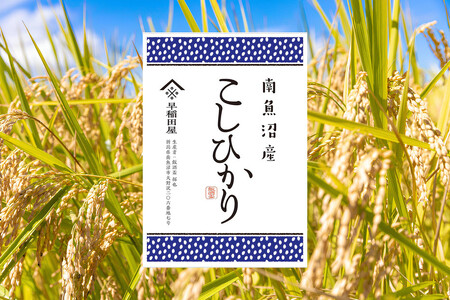 【ふるさと納税】【令和７年産新米予約】南魚沼産コシヒカリ ３ｋｇ　塩沢産コシヒカリ【2025年10月上旬より順次発送予定】