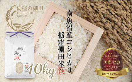 yߘa7NYzyȌE̒IcČz싛  ȌEY RVqJ 10kg F̕ _Ƃ̂ Ic Ђ _ƒ _ VF GRt@[}[ xXgt@[}[ V