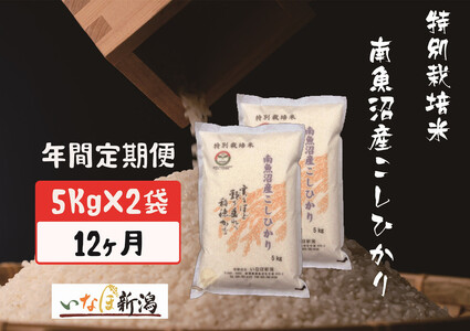 yߘa7NYzyzz싛YRVqJʍ͔|  10kg S12y2025N10{菇\z