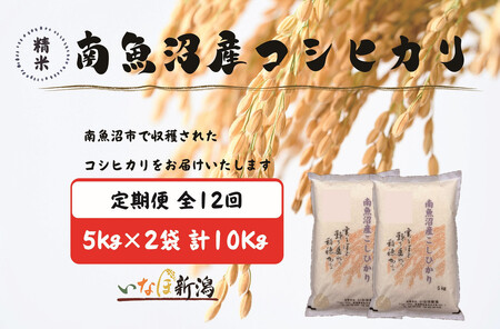yߘa7NYzyzz싛YRVqJ  5kg×2(10kg) S12y2025N10{菇\z