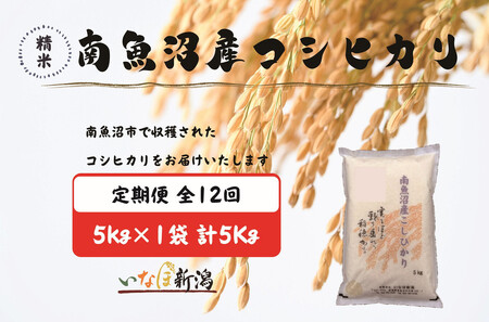 [令和7年産][定期配送]南魚沼産コシヒカリ 白米 5kg 全12回[2025年10月上旬より順次発送予定]