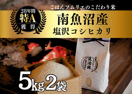 yߘa7NYVāz 5kg×2 ͂\G̓싛YRVqJwYx100Y _ƒy2025N9{菇\z