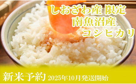 yVė\Eߘa7NYzւUF2kgY 싛YRVqJy2025N10{菇\z