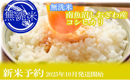 yVė\Eߘa7NYzւRF10kg싛YRVqJy2025N10{菇\z