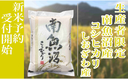 �y�ߘa7�N�Y�z����ւR�����F����10kg���Y�Ҍ��� �싛����������Y�R�V�q�J��