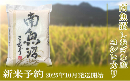 [新米予約・令和7年産]定期便/2kg×3ヶ月 生産者限定 南魚沼しおざわ産コシヒカリ[2025年10月上旬より順次発送予定]