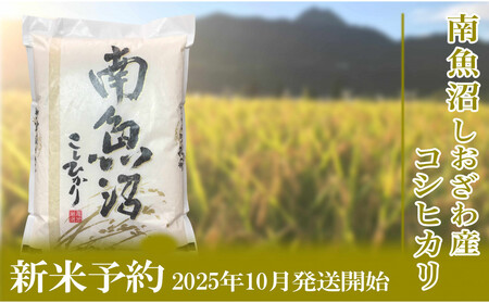 yVė\Eߘa7NYzց^Qkg×6 YҌ 싛YRVqJy2025N10{菇\z