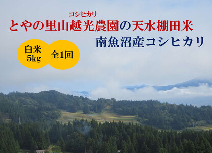 [令和7年産新米予約]とやの里山越光農園「天水棚田米」南魚沼塩沢産コシヒカリ 精米5kgx全1回[2025年12月下旬より順次発送予定]