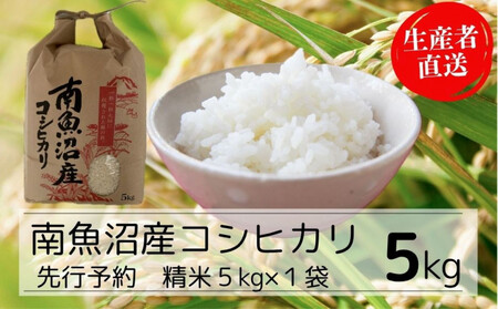 [令和7年産新米予約]南魚沼産コシヒカリ特A(精米5kg)[2025年10月下旬より順次発送予定]