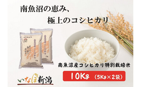 ߘa7NY 싛YRVqJʍ͔|  10kg(5kg×2)