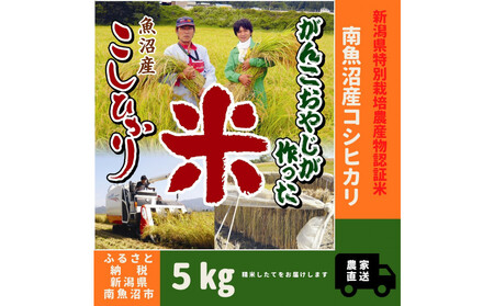 yߘaVNYVāzʍ͔|ā@񂱂₶싛YRVqJ 5kg