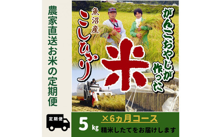 [令和7年産新米]6か月定期便 がんこおやじが作った南魚沼産コシヒカリ白米5kg