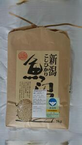 yߘa7NVāzVFؓʍ͔|ċYRVqJ5kg