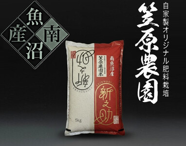 �y�ߘa�V�N�Y�V�āz�싛���Y �}���_���� �V�V�� 5kg