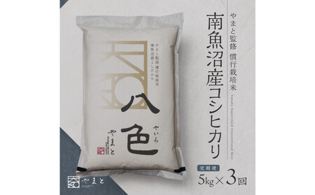 ����ց@�y�ߘa7�N�Y�z�싛���Y�R�V�q�J���@���F�@����5kg×3��