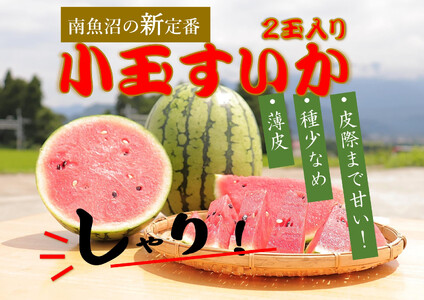 [令和8年/小玉すいか予約]パリ!シャリ!甘〜い!2玉入り[食べきりサイズ][2026年7月中旬より発送予定]