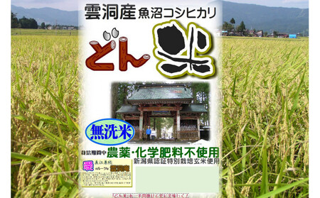 [頒布会]南魚沼産「どん米」無洗米真空パック4kg×5ヶ月 ちょっと!うるさいよ!炊き方