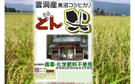 [頒布会]南魚沼産「どん米」白米真空パック4kg×5ヶ月 ちょっと!うるさいよ!炊き方