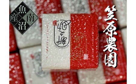 [令和7年産]南魚沼産 笠原農園米 新之助 2合真空パック20個