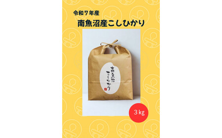 令和7年 南魚沼産こしひかり3kg