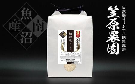 [令和6年産新米予約/令和6年9月上旬より順次発送]南魚沼産 笠原農園 棚田米コシヒカリ 5kg