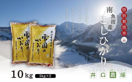 yߘa6NYz싛YRVqJ10kg _ꂱ ʍ͔|