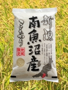 �y�ߘa7�N�Y�z�y�싛���Y�z�R�V�q�J���@10kg