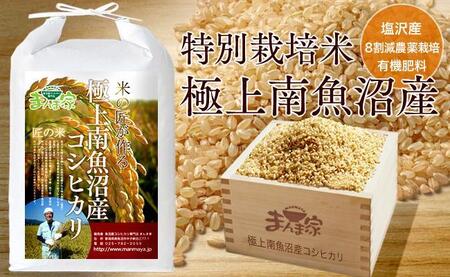 令和2年度産(古米) 魚沼産コシヒカリ 減農薬 低農薬 白米(正味) 30kg