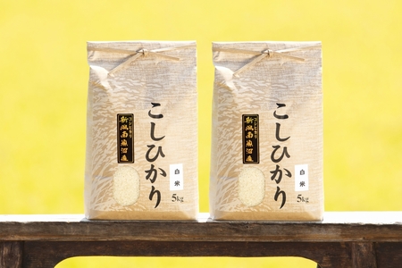 【頒布会】【令和7年産 新米予約】南魚沼産コシヒカリ（白米10kg×全6回）【令和7年11月上旬より順次発送予定】
