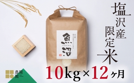 y֗ߘa7NYVė\z싛RVqJ10kg×S12@nāy2025N9{菇\z