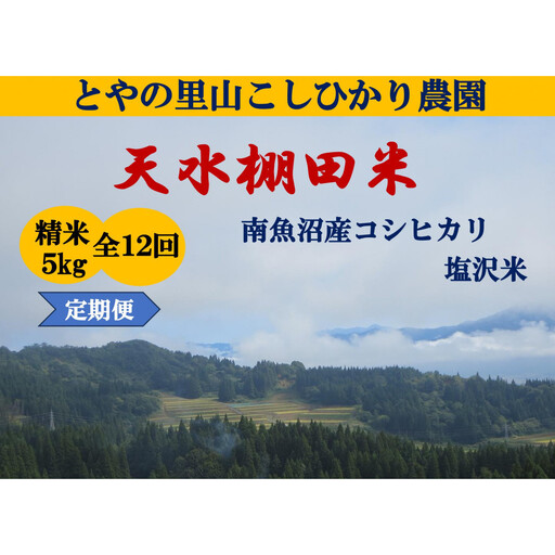 令和8年産新米予約定期便【天水棚田米】雪蔵熟成塩沢産コシヒカリ精米5kg12回「とやの里山継承プロジェクト」【定期便 銘柄米 ブランド米 精米 こしひかり コシヒカリ 魚沼産 新潟米】【2026年10月下旬より順次発送予定】