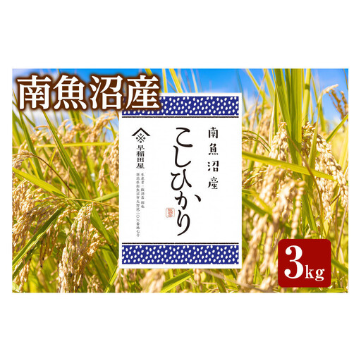 [ふるさと納税][令和8年産新米予約]南魚沼産コシヒカリ 3kg 塩沢産コシヒカリ[銘柄米 精米 こしひかり コシヒカリ 魚沼産 新潟米 お米 米 こめ][2026年10月中旬より1ヵ月以内に順次発送予定]