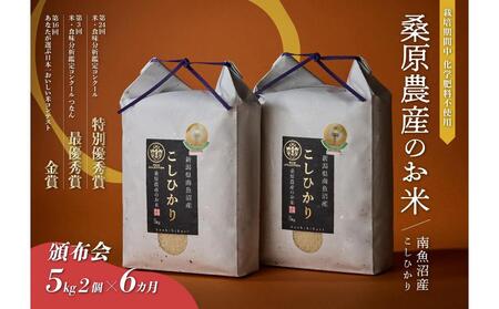 �y�Еz��zR7�N�Y�V�ā@�ŗD�G�܎�܁y8�����_��z�ō����싛���Y�����Ђ���10kg�i5kg×2�j×6�����@�K���_�Y�̂���(����)