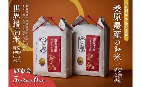 �y�Еz��z�M�l�X���E�L�^�u���E�ō��āv�F�� �ō����싛���Y�V�V��10kg(5kg×2)×6���� �K���_�Y�̂���(����)