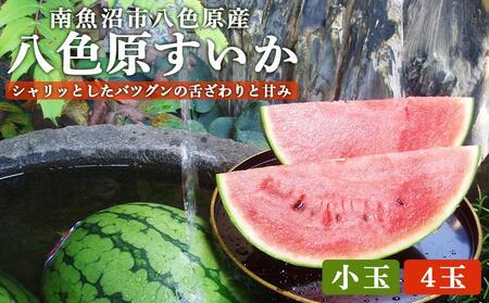 先行予約【高級】八色原すいか小玉４玉【2026年7月中旬発送】【お届け日時指定不可】