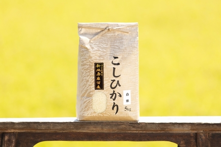 [頒布会][令和7年産 新米予約]南魚沼産コシヒカリ(白米5kg×全3回)[令和7年11月上旬より順次発送予定]