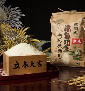 [頒布会][令和7年産 新米予約]南魚沼塩沢産こしひかり(無洗米5kg×全3回)[令和7年11月上旬より順次発送予定]