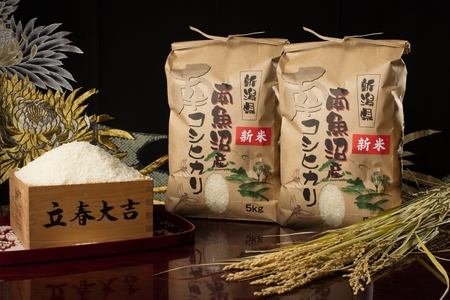 【頒布会】【令和7年産 新米予約】南魚沼塩沢産こしひかり（白米10kg×全3回）【令和7年11月上旬より順次発送予定】