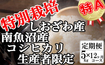 yߘa7NYzyցF5Kg×12zʍ͔| YҌ 싛YRVqJy2025N10{菇\z