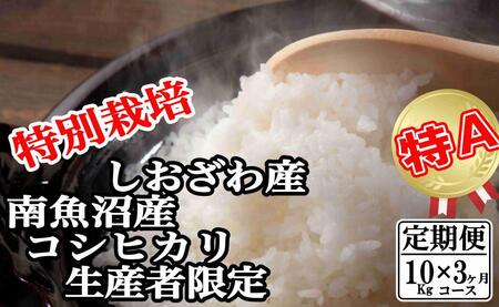 yߘa7NYzyցF10Kg×3zʍ͔| YҌ  싛YRVqJy2025N10{菇\z