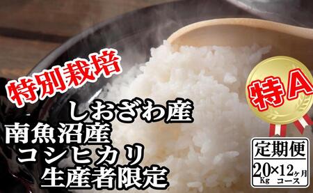 yߘa7NYzyցF20Kg×12zʍ͔| YҌ 싛YRVqJy2025N10{菇\z