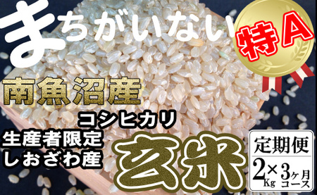 [定期便]玄米 生産者限定 南魚沼しおざわ産コシヒカリ2Kg×3ヶ月