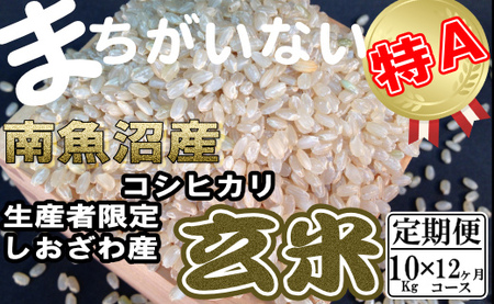 yߘa7NYzyցz YҌ 싛YRVqJ10Kg×12y2025N10{菇\z