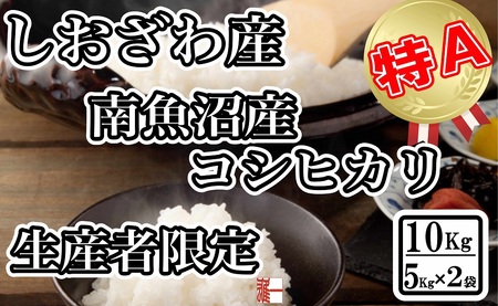 yߘa7NYzYҌ _͔| 싛YRVqJ10Kgi5Kg×2܁jy2025N10{菇\z