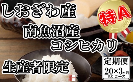 yߘa7NYzyցF20Kg×3zYҌ _͔| 싛YRVqJy2025N10{菇\z