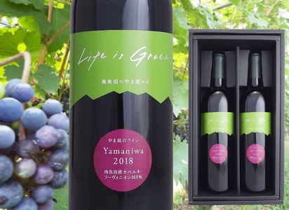 【南魚沼産カベルネ・ソーヴィニヨン】繊細な赤”やま庭のワイン”750ml ２本セット