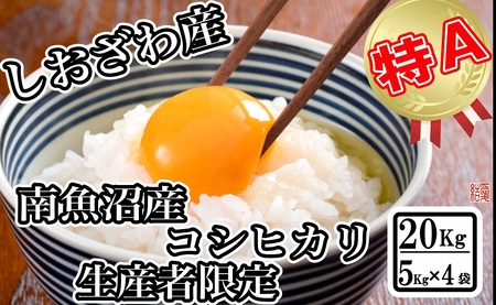 yߘa7NYzyYҌ _͔|z싛YRVqJ20kgiTkg×4܁jy2025N10{菇\z