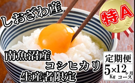 yߘa7NYzyց^5kg×12zYҌ _͔| 싛YRVqJy2025N10{菇\z