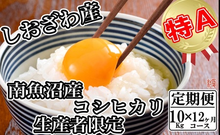 yߘa7NYzyց^10kg×12zYҌ _͔| 싛YRVqJy2025N10{菇\z